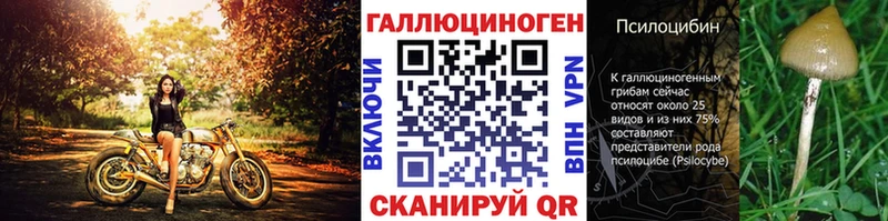 Галлюциногенные грибы GOLDEN TEACHER  Псков 